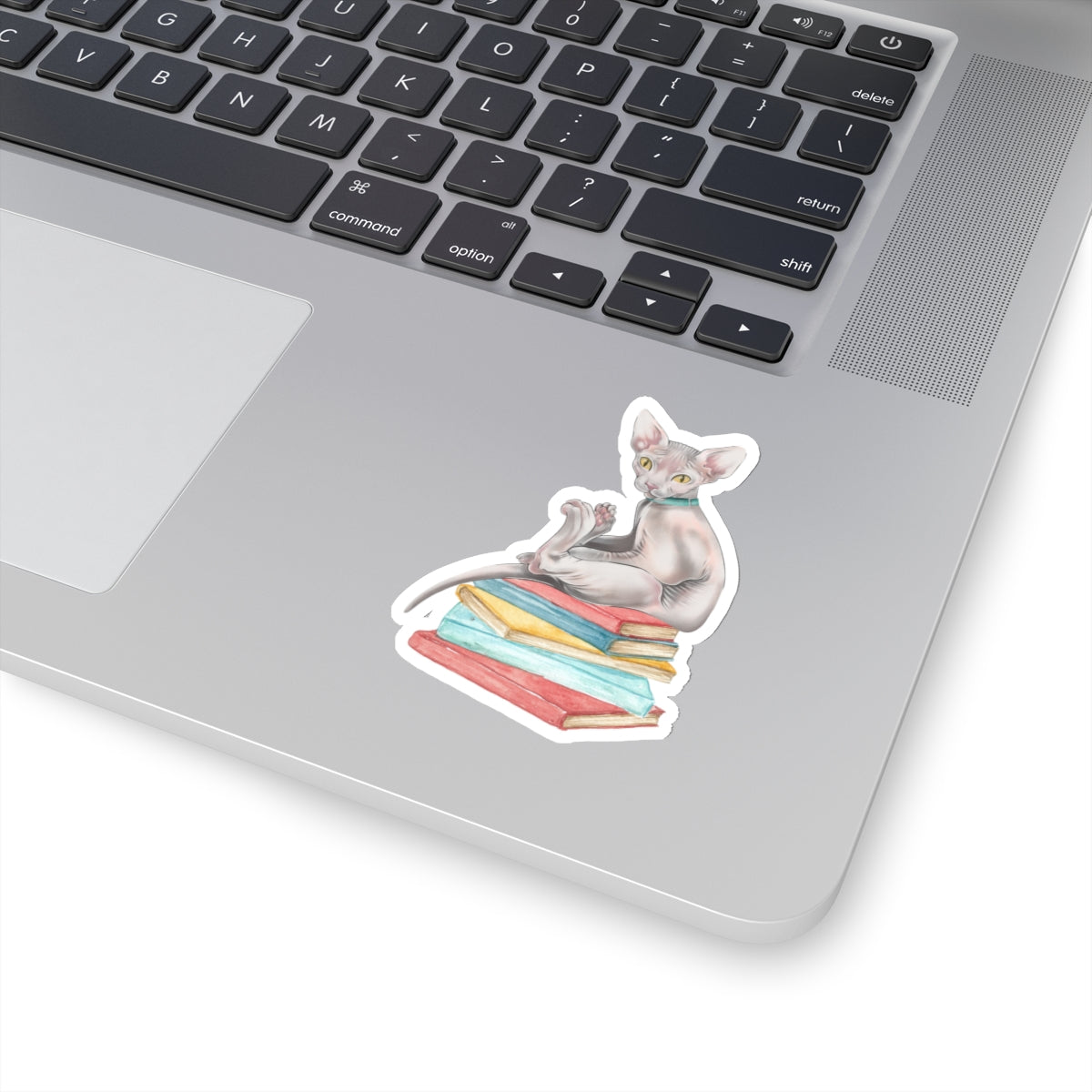 Bookish Sphynx Sitter - Kiss-Cut Sticker