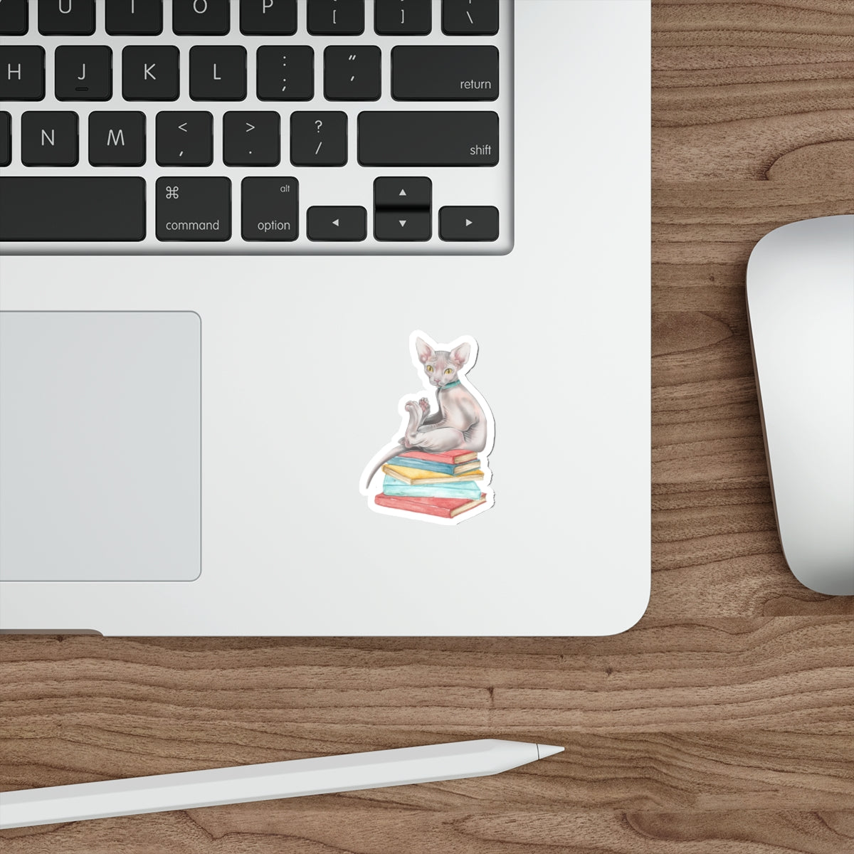 Bookish Sphynx Sitter - Die-Cut Sticker