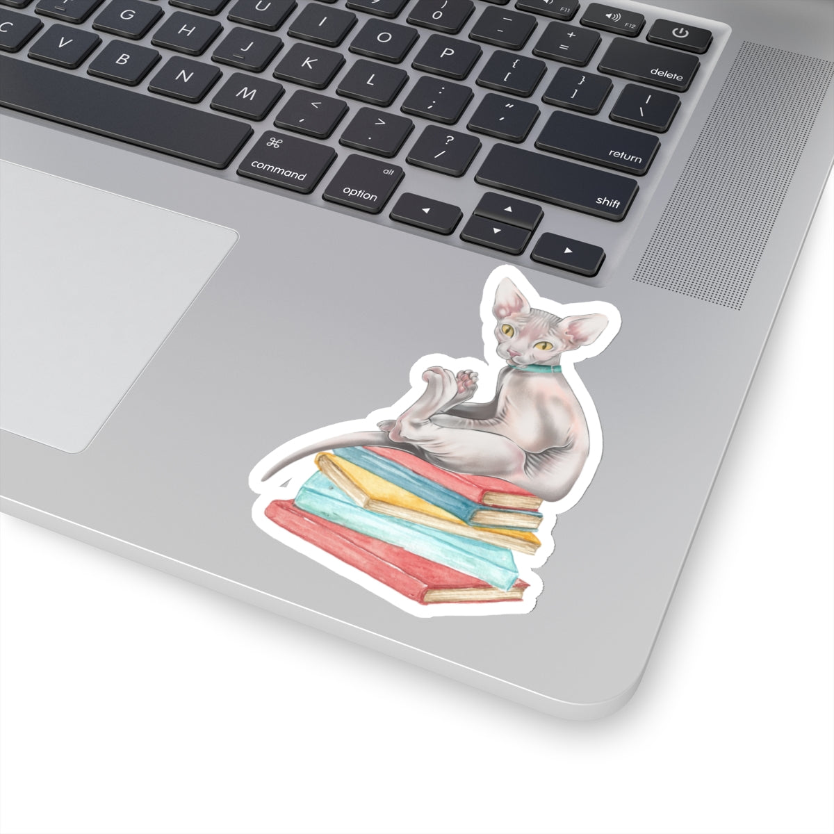 Bookish Sphynx Sitter - Kiss-Cut Sticker